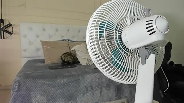 Snapshot of Slut_Milf_ chatting on 01/23/25, 10:44 Slut Milf  online show from 01/23/25, 10:44