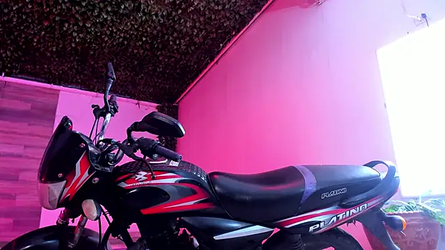 Snapshot of AkazaBoy_ chatting on 12/27/24, 04:15 AkazaBoy  online show from 12/27/24, 04:15