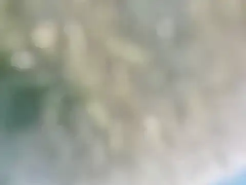 Snapshot of nikol_sexy39 chatting on 01/18/25, 09:45 nikol sexy39 online show from 01/18/25, 09:45