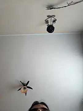 vulpe8400 online show from 04/19/26, 11:09