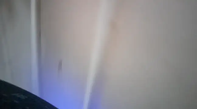 elcobin online show from 03/16/25, 03:58