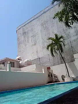 elcobin online show from 03/20/25, 06:31