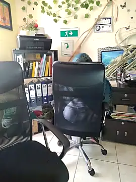 Snapshot of NAJWA-ARAB chatting on 01/15/25, 02:24 NAJWA-ARAB online show from 01/15/25, 02:24