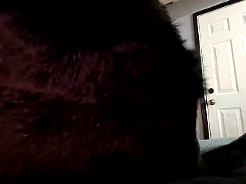 DevinToore online show from 10/29/25, 03:31