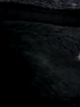 Snapshot of MetalJoint2 chatting on 11/30/25, 03:32 MetalJoint2 online show from 11/30/25, 03:32