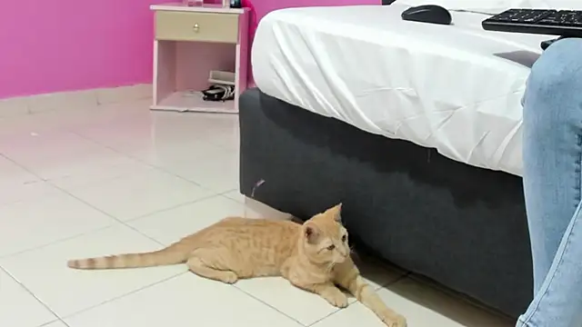  candy jade  online show from 01/15/26, 10:42