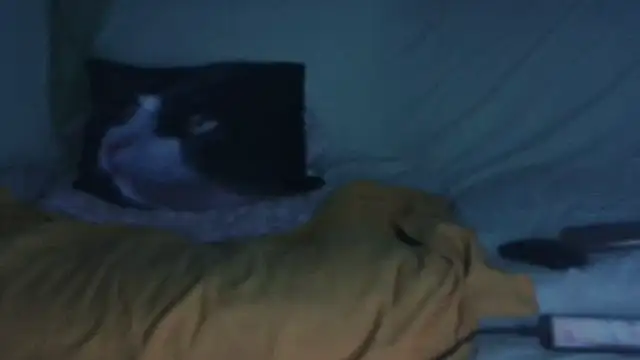 VeneRed online show from 09/17/25, 08:21