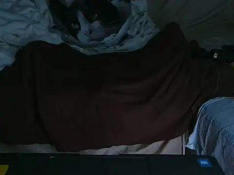 VeneRed online show from 10/04/25, 09:24