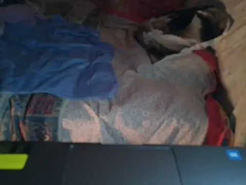 VeneRed online show from 01/17/26, 06:55