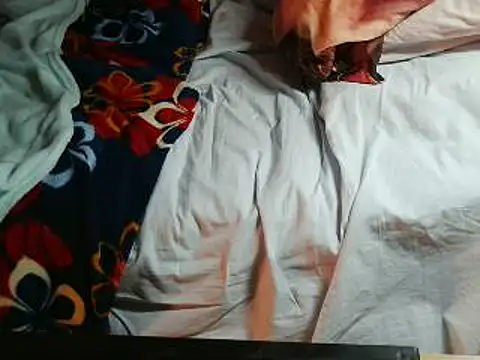 VeneRed online show from 04/18/26, 07:29