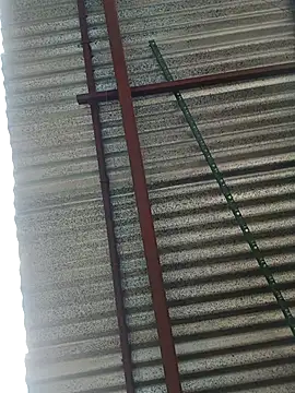 elputoflaco online show from 01/09/26, 11:46