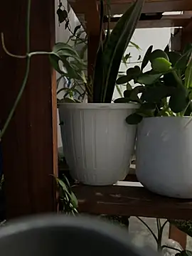 alburt 1996 online show from 12/30/24, 03:13