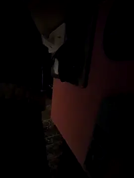 pumapatri online show from 03/11/26, 06:25