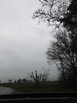 nataliecdlive online show from 11/22/25, 11:09