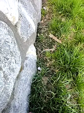 Snapshot of DrownMentallyyy chatting on 03/22/25, 12:35 DrownMentallyyy online show from 03/22/25, 12:35