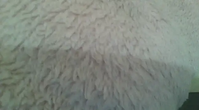 samanta0033 online show from 12/02/24, 09:17