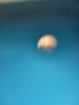 Sonya5156 online show from 02/15/25, 03:28