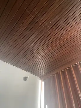 Praga Pink online show from 03/03/26, 02:12