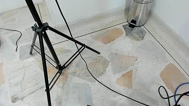 catalina Ada online show from 03/11/25, 05:35