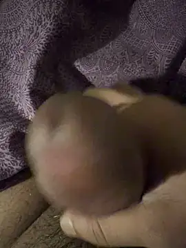 Snapshot of BigAddress0 chatting on 02/23/26, 02:42 BigAddress0 online show from 02/23/26, 02:42