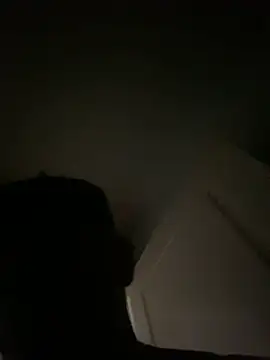 Snapshot of LCarreraa chatting on 01/30/25, 11:13 LCarreraa online show from 01/30/25, 11:13