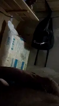 cockringkelley97 online show from 12/01/24, 04:29