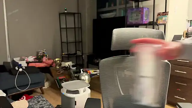 bearcloudcomputa online show from 12/28/24, 04:41