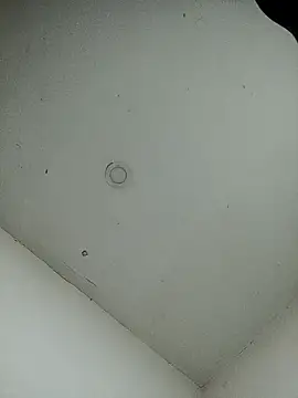 jeremiabello online show from 02/12/25, 05:16