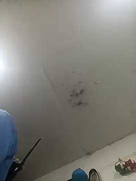 jeremiabello online show from 02/14/25, 01:02