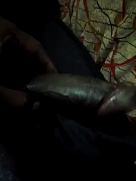 Snapshot of Antor1234 chatting on 01/22/25, 05:59 Antor1234 online show from 01/22/25, 05:59