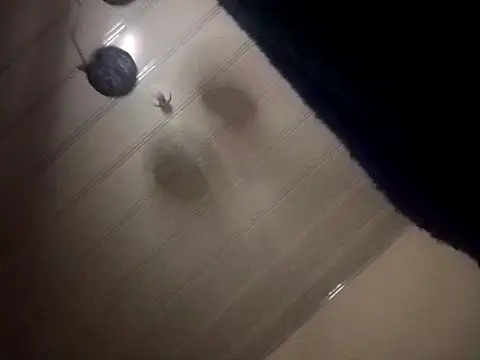 giuliana andrade online show from 12/07/24, 03:36