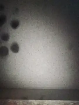 Leocesar37 online show from 09/12/25, 07:19