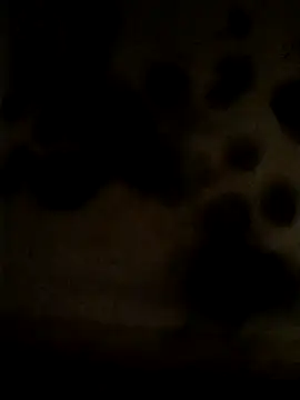 Leocesar37 online show from 05/25/26, 02:23