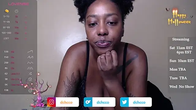 dchcco online show from 11/01/25, 03:03