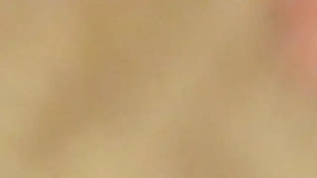 Snapshot of AraCopple chatting on 12/31/24, 03:45 AraCopple online show from 12/31/24, 03:45