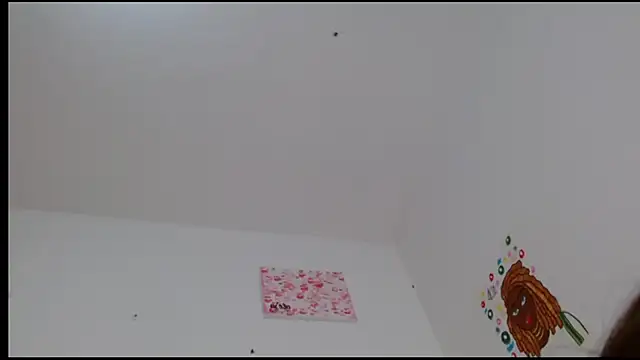 kity   online show from 02/24/25, 04:58