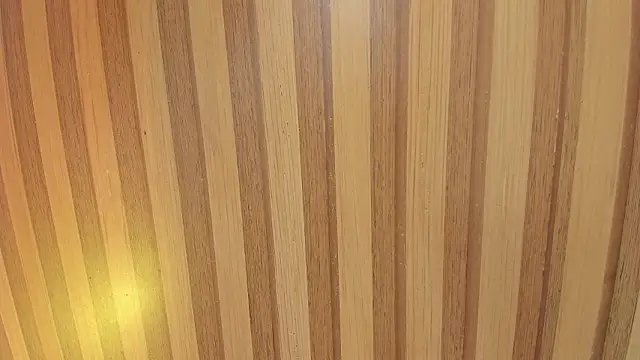 Snapshot of Taylor__cooper chatting on 02/06/26, 06:22 Taylor cooper online show from 02/06/26, 06:22