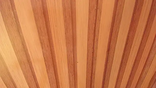 Snapshot of Taylor__cooper chatting on 02/12/26, 06:58 Taylor cooper online show from 02/12/26, 06:58