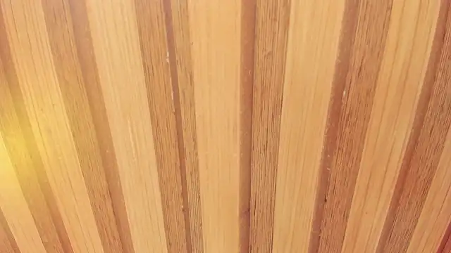 Snapshot of Taylor__cooper chatting on 02/18/26, 06:37 Taylor cooper online show from 02/18/26, 06:37