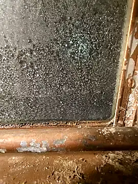 alienbunny online show from 01/11/25, 05:52