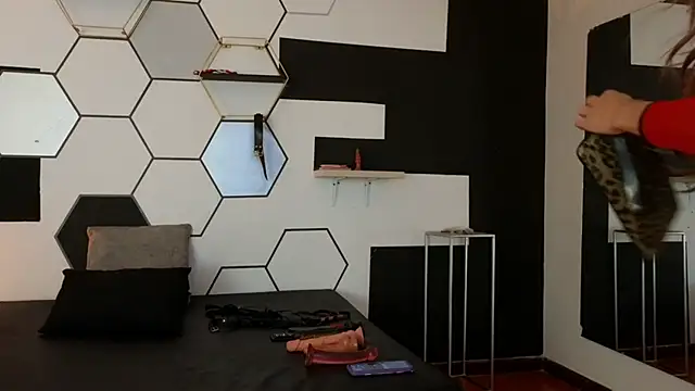 haileycat online show from 02/08/25, 11:34