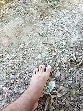 Misbion online show from 11/18/25, 09:47