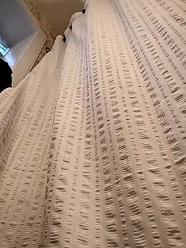 Snapshot of Brickstash chatting on 11/04/25, 01:10 Brickstash online show from 11/04/25, 01:10