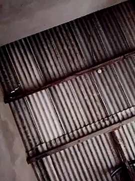 Snapshot of Viny459 chatting on 12/14/25, 08:02 Viny459 online show from 12/14/25, 08:02