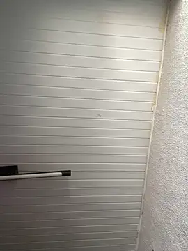 luara1988 online show from 11/12/25, 12:27