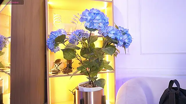 elasummer online show from 12/20/25, 12:12