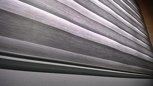 palmer mIix online show from 12/23/24, 01:03