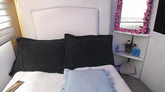 palmer mIix online show from 12/26/24, 07:38