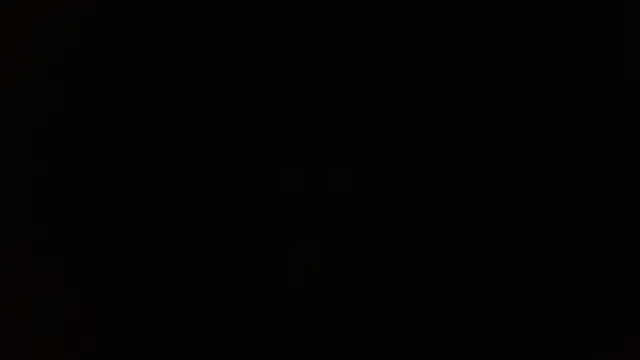 Snapshot of _______the chatting on 12/14/25, 08:24 the online show from 12/14/25, 08:24