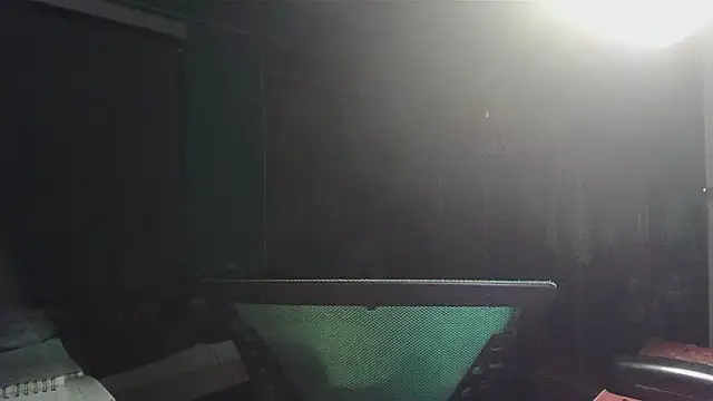 Snapshot of _______the chatting on 02/12/26, 03:01 the online show from 02/12/26, 03:01